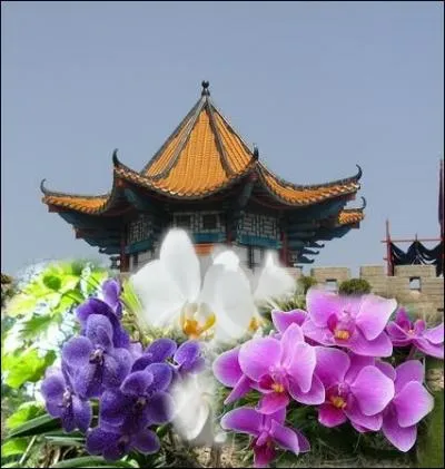 Que dsignait-on dans la Chine ancienne sous l'appellation  Maison dore des orchides  ?