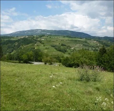 En France, dans quelle rgion se situe la Montagne des Princes surnomme  Montagne des orchides  par les botanistes parce qu'on y rencontre une dizaine d'espces sauvages ?
