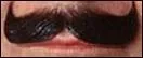  qui appartient cette moustache ?