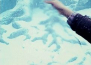 Quiz NOEL, l'hiver, la neige, avec Harry Potter