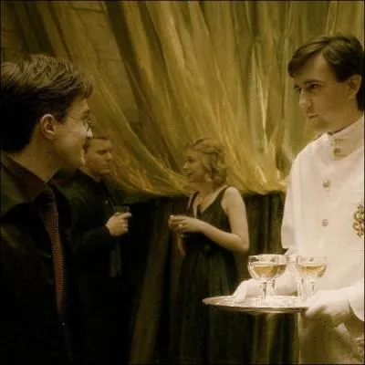 A cette party organise pour Nol, Harry se retrouve servi par Neville...
