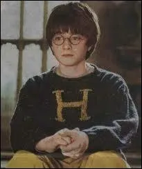 Harry porte ici le pull reu en cadeau de Nol, que lui a offert... ?