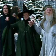 Severus, Minerva et Albus, en grandes tenues, se trouvent runis pour un grand Bal de Nol...