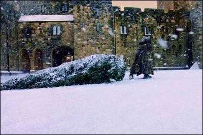 Hagrid ramne les sapins qui vont dcorer la grande salle de Poudlard pour Nol...