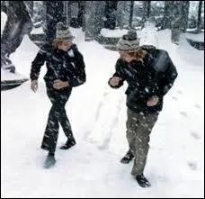Dans la cour de Poudlard, alors qu'il neige beaucoup, que sont en train de faire les jumeaux Weasley...