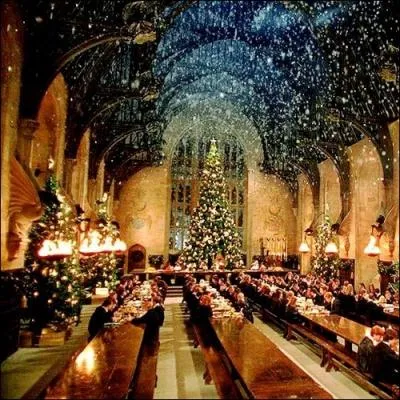 Quelle belle dcoration de nol pour la grande salle de Poudlard...