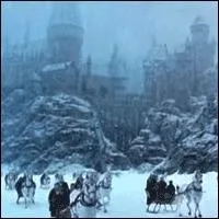 Il neige, quel magnifique paysage que Poudlard... Les vacances de Nol sont proches...