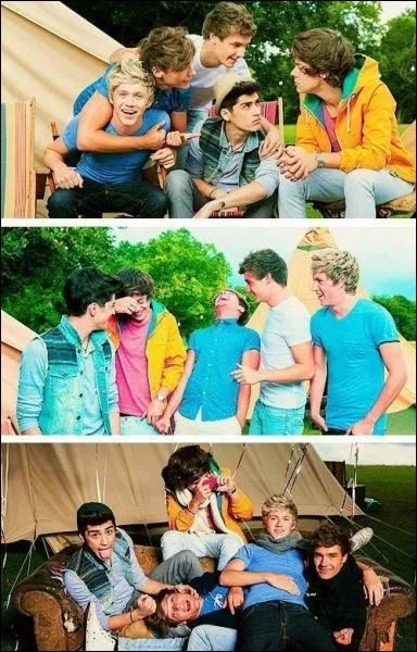 Combien de membres du groupe voulaient tre professeurs ?