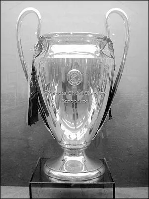 Quelle est cette coupe ?