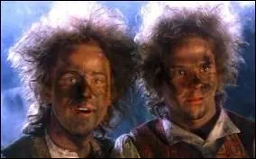 Lors de l'anniversaire de Bilbon, de quelle couleur est la fuse que Pippin et Merry vont lancer ?