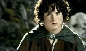 O Frodon a t-il pass l'anneau  son doigt pour la premire fois ?