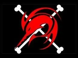 A qui appartient ce drapeau ?