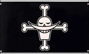 A qui appartient ce drapeau ?