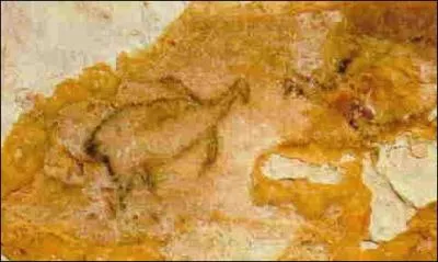 Cette grotte non ouverte au public est situe dans les Bouches-du-Rhne, elle porte le nom de se dcouvreur, quelle est cette grotte ?