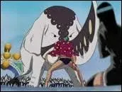 Qui est cet animal ?