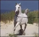 Quelle distance de scurit doit-on respecter dans un mange ou une carrire ?