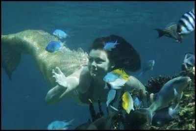 Charlotte est-elle dans toutes les saisons ?