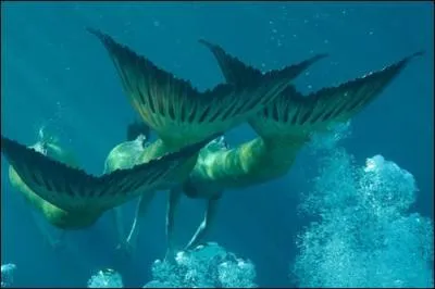 Le collier avec une pierre bleue vient ...