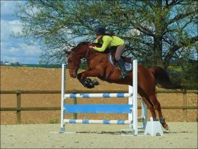 Choisissez les mots du mme champ lexical. (Ex : fleur, potager, jardin, etc. )