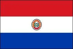  quel pays appartient ce drapeau ?