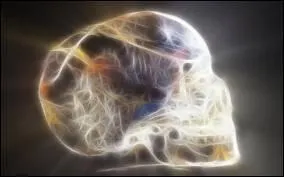 Les crânes de cristal soi-disant d'origine maya ont inspiré les aventures d'un héros qui part en quête du royaume du crâne de cristal. Quel est ce héros ?