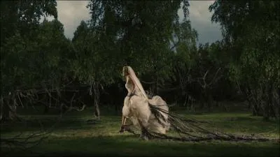  l'occasion de leur mariage, Justine et Michael donnent une somptueuse rception. Pendant ce temps, une plante s'approche de la Terre...