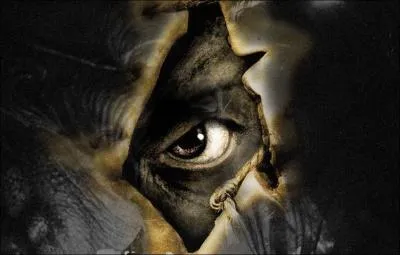 A quel film appartient cette affiche ?