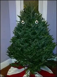 Voici le sapin... Big Brother ! Attention  le placer judicieusement dans la maison ! On peut dire que son propritaire... ?