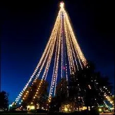 Voici un sapin spectaculaire, mais pour le jardin uniquement. Disons que pour le russir, il est ncessaire... ?