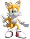 Tails peut faire quelque chose de spciale que est ce que c'est ?