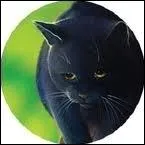 J'tais amoureux de  l'lue . Je suis noir aux yeux bleus. Qui suis-je ?