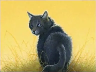 Comment meurt Museau Cendr ?