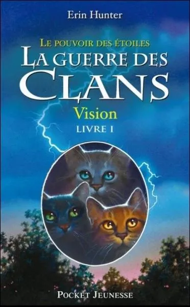 Lequel des petits de Griffe de Ronce est aveugle ?