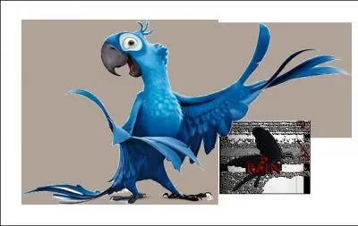 Comment s'appelle le hros ?