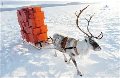 Une petite question de Luxe, de quelle marque sont les paquets cadeaux de cette couleur significative ?