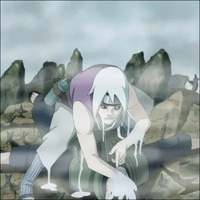 Quels sont les lments qu'utilise le frre de Suigetsu ?