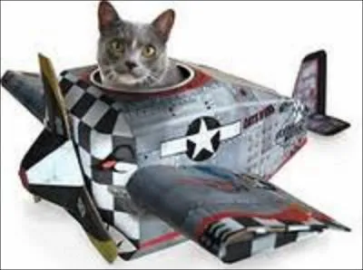 Parmi les quatre personnalits suivantes, laquelle n'est-elle pas un pionnier de l'aviation ?