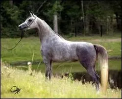 Sa/ses discipline(s) est/sont plutt...