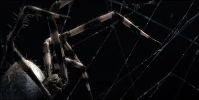 Un cm 2 de toile d'araigne peut supporter ...