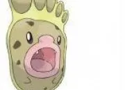 Quiz Ces Pokmons sont-ils rels ?