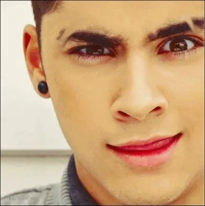 Quelle était la phrase favorite de Zayn ?