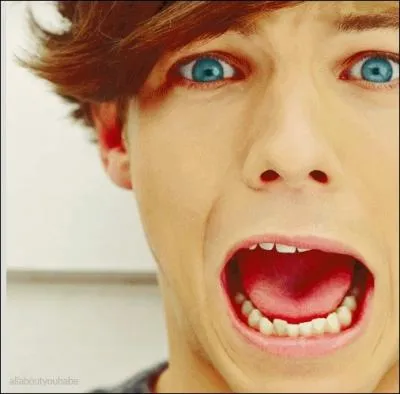 D'après les vidéos diarys Louis est caractérisé de :