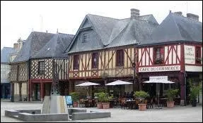 La population de La Guerche-de-Bretagne porte le nom de ...