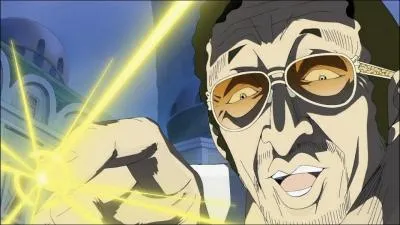 Quel est le nom de son fruit du dmon ?