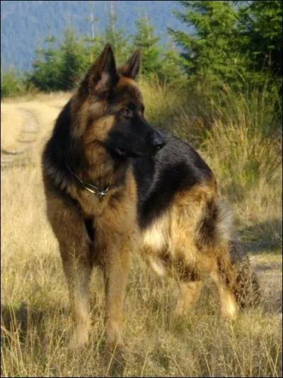 Et pour quelle taille ?