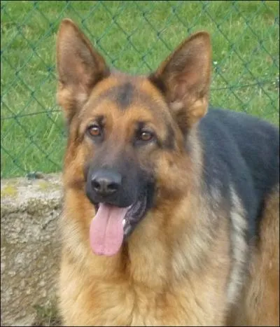 Dans quel pays est-il n ?