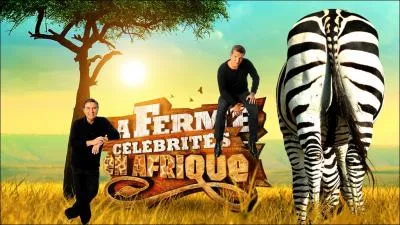 En 2009, cette  mission  reoit le Grard ... .