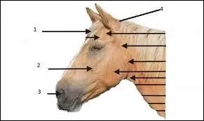 Quel est le nom des parties 1, 2, 3 ?