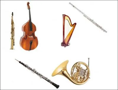 Selon "Le Livre des Records 2007", quels seraient les deux instruments les plus difficiles à jouer ?