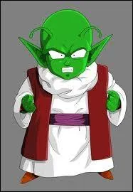 Ce petit Namek est capable de soigner n'importe qui grce  ses pouvoirs magiques. Qui est-ce ?